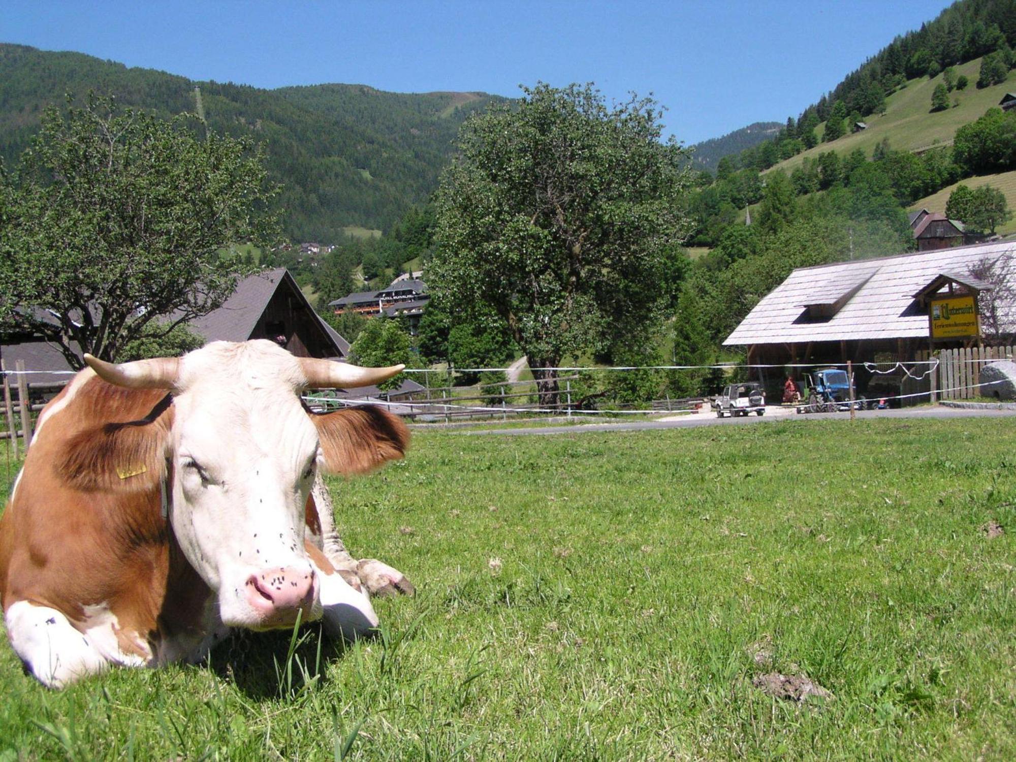 Unterwirt Leilighet Bad Kleinkirchheim Eksteriør bilde